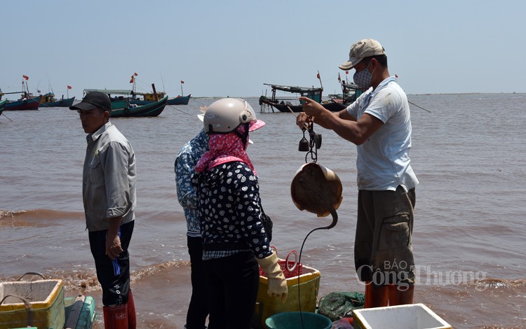 Độc lạ chợ cá Giao Hải: “Nước” càng nhỏ giá lại càng cao