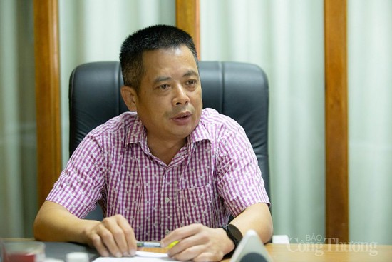 chu tich sam sam group noi gi ve viec van dong thanh lap hiep hoi san xuat sam viet nam