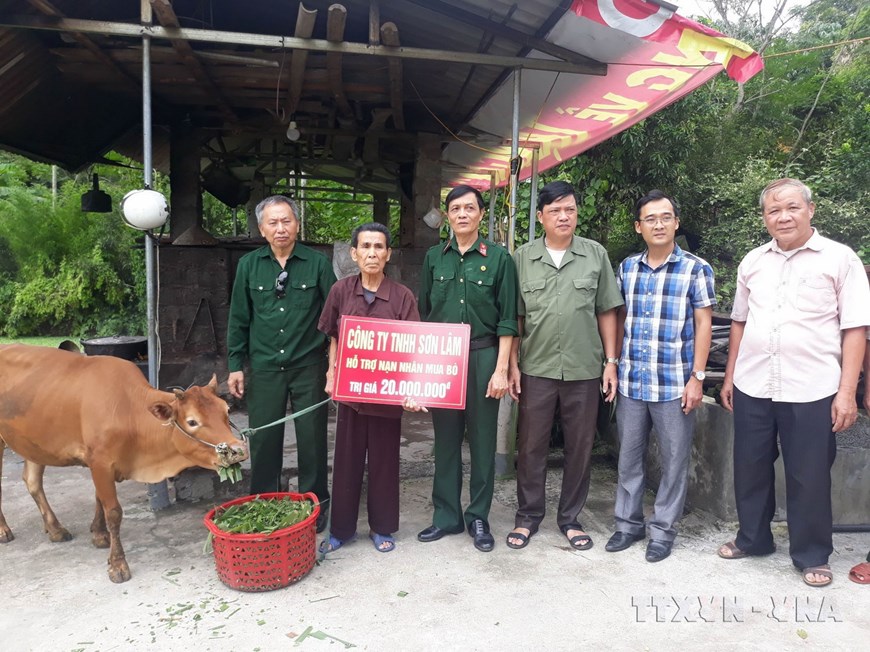 62 năm thảm họa da cam ở Việt Nam: Chung tay xoa dịu nỗi đau da cam 62 năm thảm họa da cam ở Việt Nam: Chung tay xoa dịu nỗi đau da cam