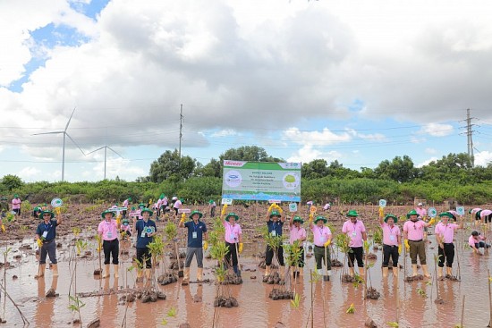 khoi dong du an trong cay bao ve da dang sinh hoc tai trang trai tom cp viet nam