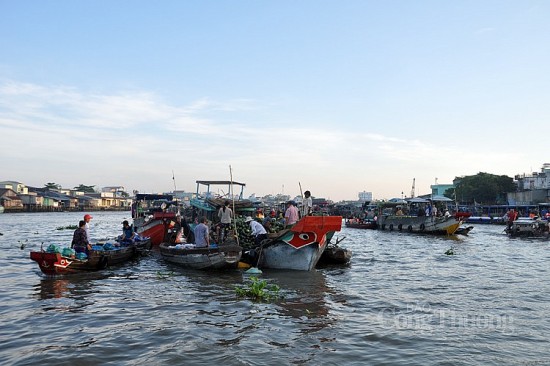 nghich ly cho noi cai rang khach tang thuong ho giam