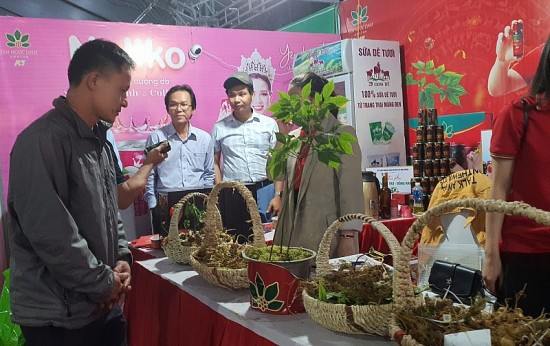 nang cao gia tri va bao ve thuong hieu cho quoc bao sam ngoc linh