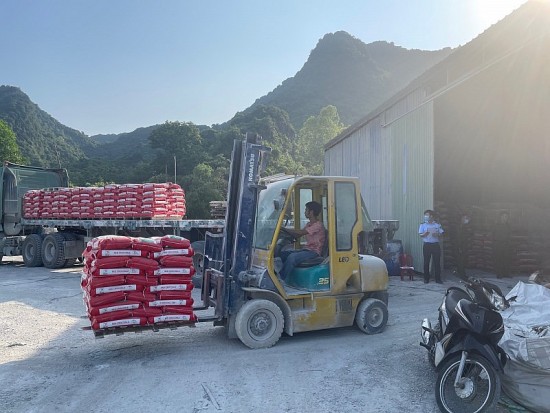 ha nam khoi to giam doc cong ty co phan soliti viet nam vi xam pham quyen so huu cong nghiep