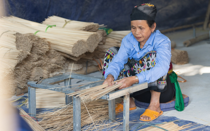 Dù có tiềm năng lớn trong phát triển tre, luồng, nhưng cây trồng này vẫn chưa giúp người dân miền núi Thanh Hóa trở nên giàu có