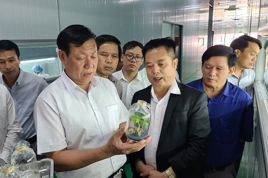 quang nam go kho cho doanh nghiep trong sam ngoc linh tiep can nguon von vay