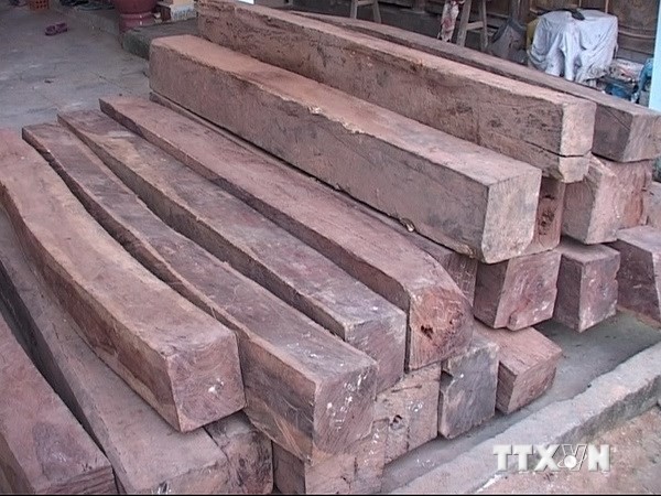 Từ kỳ án “Buôn lậu gỗ trắc” đến Luật theo dõi thi hành pháp luật