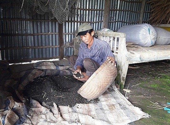 ca mau phan dau giam ngheo da chieu han che tai ngheo va phat sinh ngheo moi