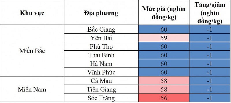 Giá heo hơi hôm nay ngày 19/8/2023: Giảm 1.000 đồng/kg tại một vài địa phương