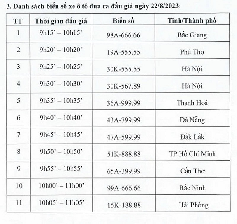 Tạm dừng đấu giá biển số xe ô tô trong ngày 22/8 do lỗi kỹ thuật