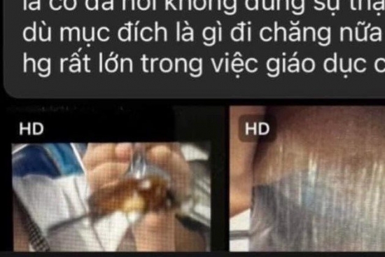 Nhà trường báo cáo gì về việc có côn trùng trong bữa ăn của học sinh?