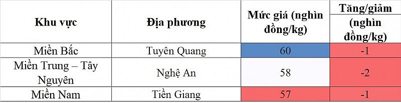 Giá heo hơi hôm nay ngày 22/8/2023: Giảm sâu nhất 2.000 đồng/kg