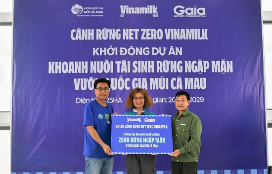 Vinamilk khoanh nuôi tái sinh 25ha rừng ngập mặn Cà Mau