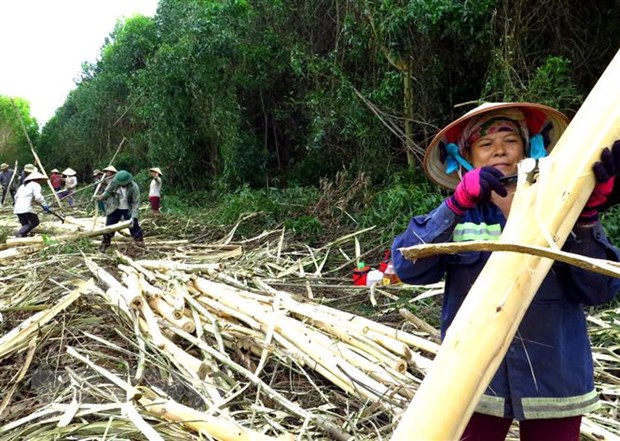 Thúc đẩy triển khai thỏa thuận Việt Nam