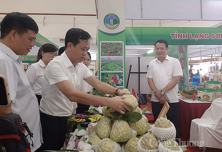 các đại biểu tham quan giang hàng