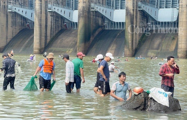 Đồng Nai: Hàng trăm người dân đổ xô vào Thủy điện Trị An bắt cá "khủng"