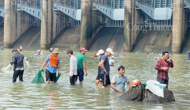 Hàng trăm người dân đổ xô vào thủy điện Trị An bắt cá ‘khủng’