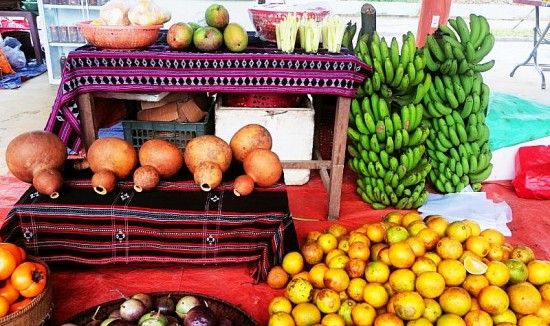 thua thien hue tap trung nguon luc giam ngheo cho dong bao dan toc thieu so