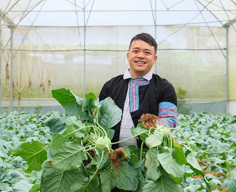 Sơn La: Điểm sáng từ các chuỗi liên kết sản xuất tiêu thụ sản phẩm vùng dân tộc