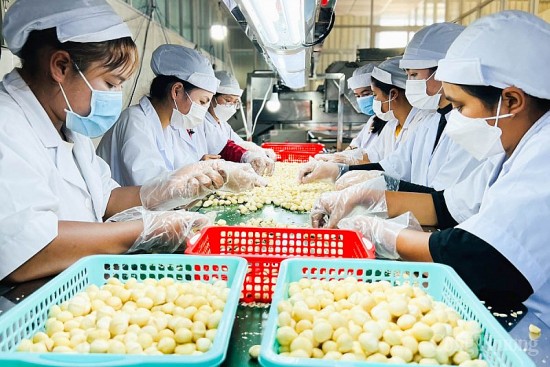 bai 1 suc khoe cua thi truong xuat khau va nhung thach thuc cho doanh nghiep viet nam