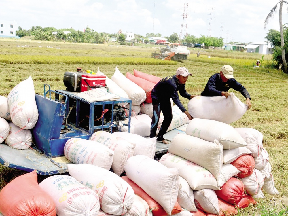 Bài 2: Không để xảy ra tình trạng đầu cơ trục lợi giá gạo