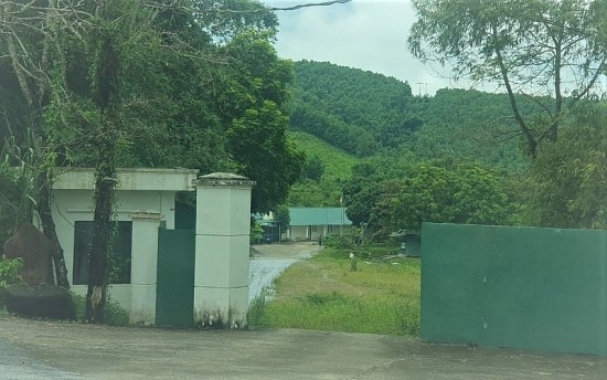 quang ninh som tim giai phap thich hop de thong duong xuat nhap khau tai diem dai vai