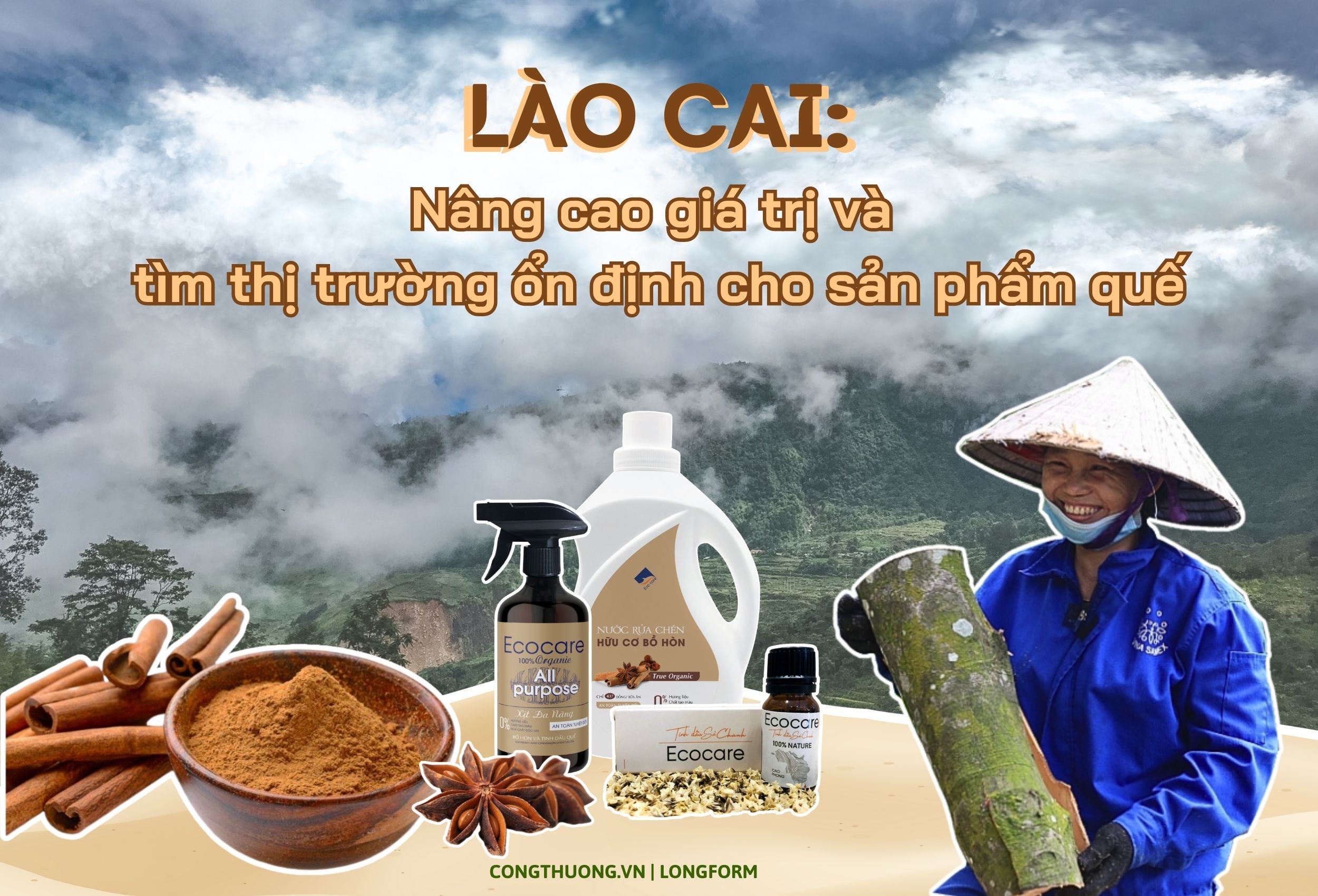 Longform | Lào Cai: Nâng cao giá trị và tìm thị trường ổn định cho sản phẩm quế