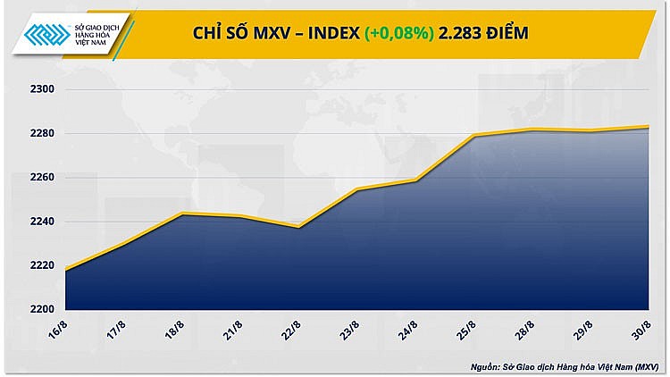 Thị trường hàng hóa hôm nay ngày 31/8/2023: Giá hàng hóa nguyên liệu trở lại đà khởi sắc