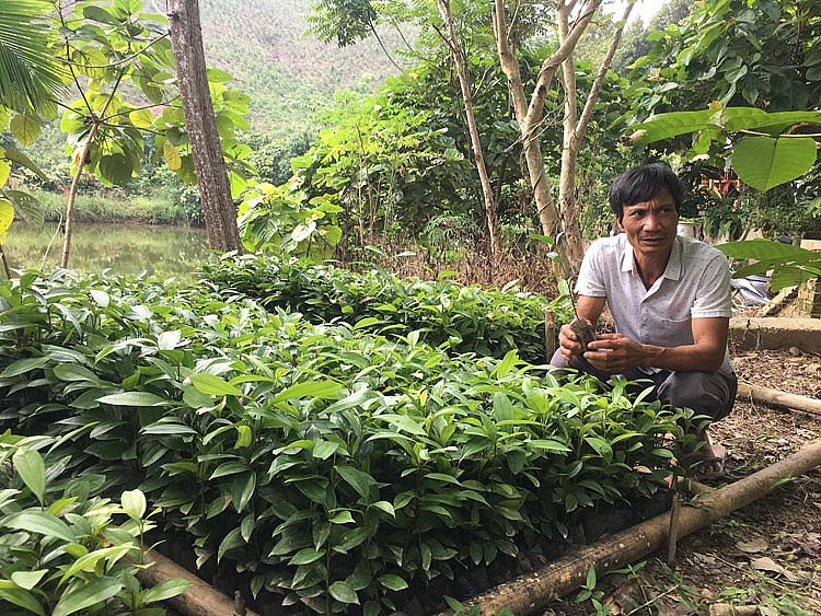 Đổi thay trên An toàn khu Định Hóa