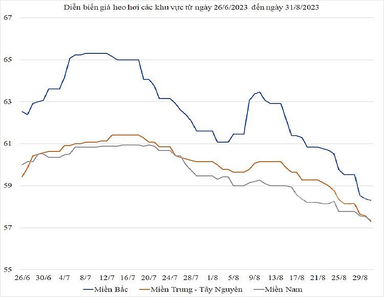 Diễn biến giá heo hơi các khu vực từ cuối tháng 6/2023 đến cuối tháng 8/2023 (Nguyễn Hạnh)