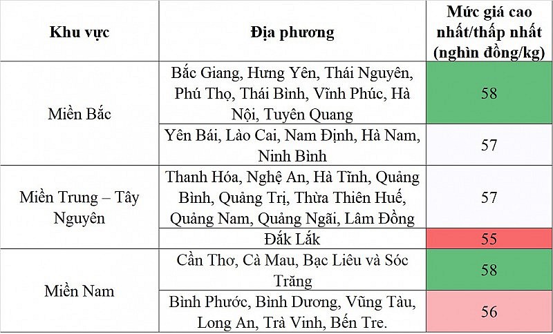 Giá heo hơi hôm nay ngày 4/9/2023: Dao động trong khoảng 55.000 đến 58.000 đồng/kg