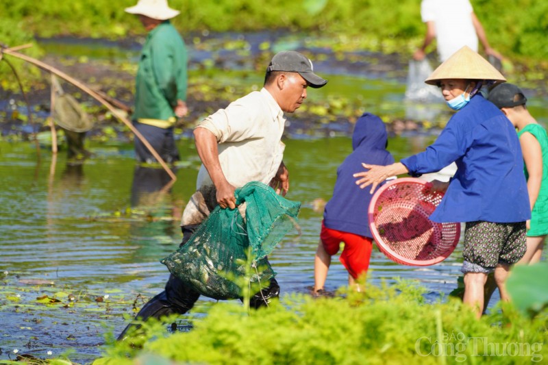 Trằm Trà Lộc: Độc đáo lễ hội tại nơi cả năm chỉ được bắt cá một lần