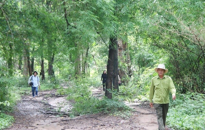 Bình Thuận: Khảo sát vùng rừng hơn 600ha dự kiến làm hồ thủy lợi Ka Pét