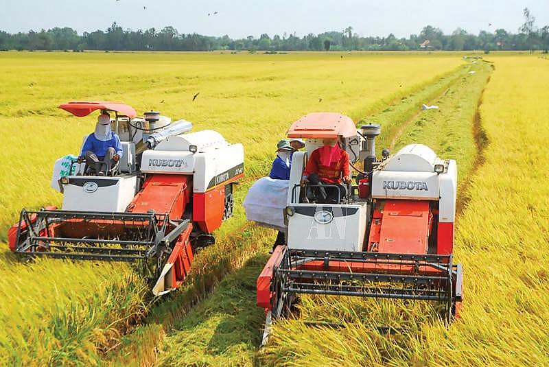 Hậu Giang: Khơi dậy tinh thần vượt khó giúp người nghèo chủ động vươn lên