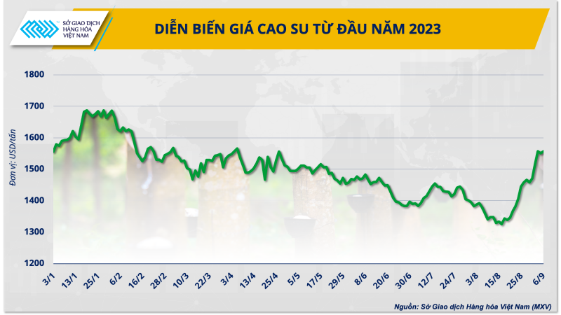 Diễn biến giá cao su từ đầu năm đến nay