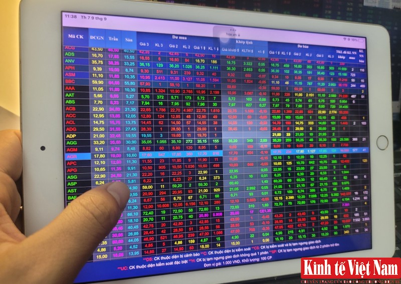 Chứng khoán hôm nay 11/9/2023: Dầu khí, thép tăng tích cực