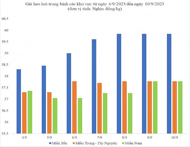 Giá heo hơi hôm nay ngày 10/9/2023: Ghi nhận mức cao nhất 60.000 đồng/kg