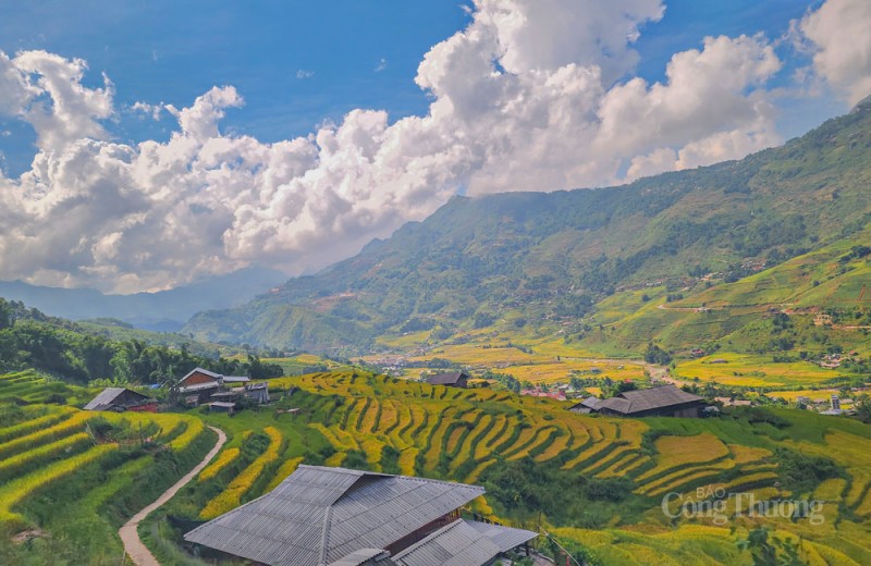 Sa Pa rộn rã mùa lúa vàng Sa Pa rộn rã mùa lúa vàng