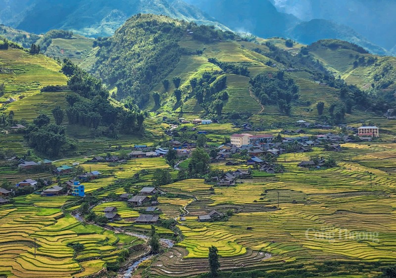 Sa Pa rộn rã mùa lúa vàng Sa Pa rộn rã mùa lúa vàng