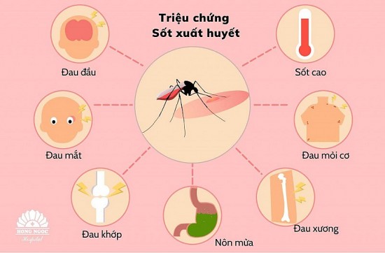 Cách nhận biết sốt xuất huyết sớm nhất để tránh biến chứng nguy hiểm