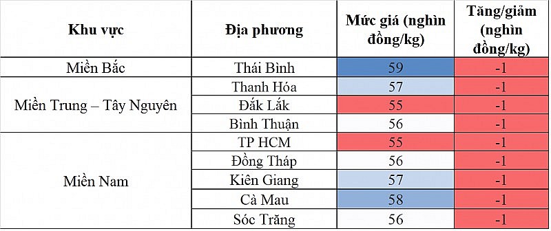 Giá heo hơi hôm nay ngày 13/9/2023: Tiếp tục giảm nhẹ 1.000 đồng/kg