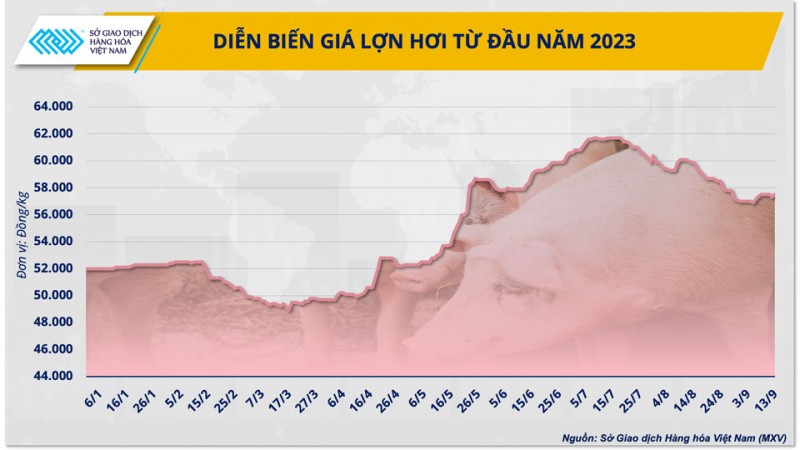 Giá nguyên liệu thức ăn chăn nuôi giảm có ‘gợi ý’ cho việc tăng tái đàn?