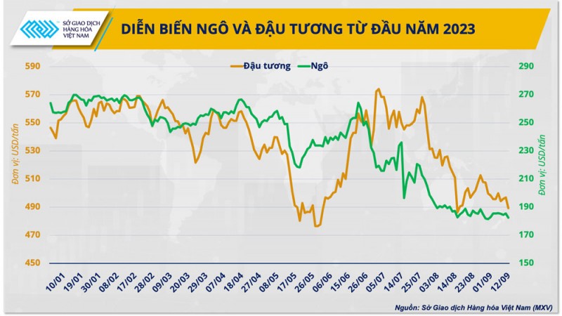 Giá nguyên liệu thức ăn chăn nuôi giảm có ‘gợi ý’ cho việc tăng tái đàn?