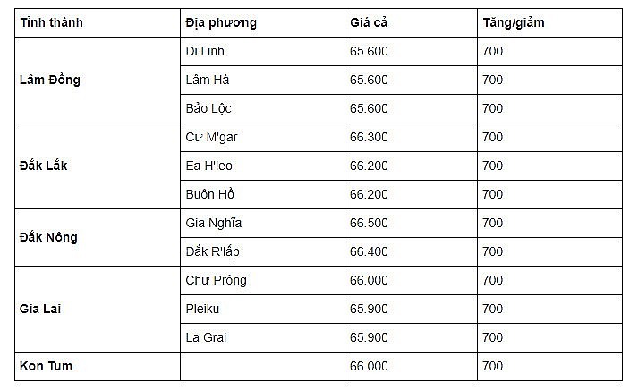 Thị trường cà phê trong nước ngày 14/9/2023