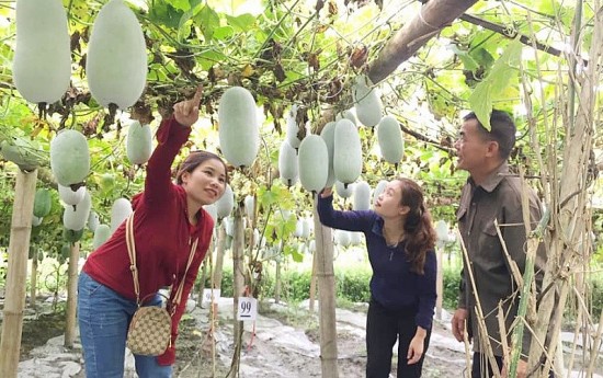 bac kan trien khai thuc chat va hieu qua cong tac giam ngheo thong tin