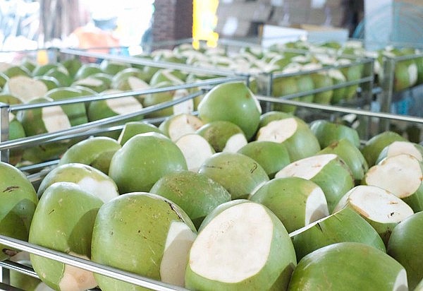 Hình minh họa