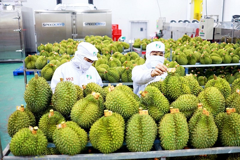 CAEXPO 2023: 