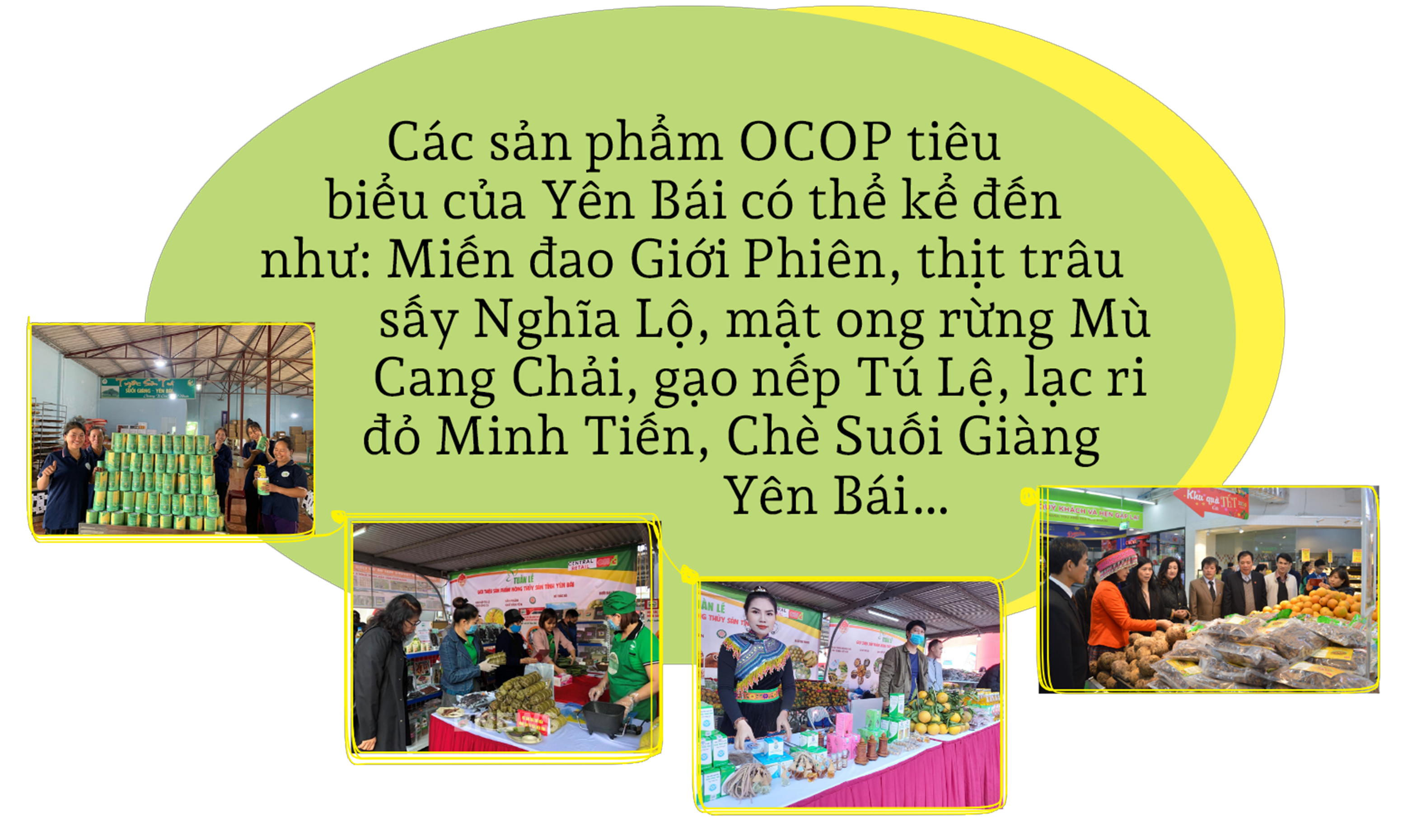 Chứng nhận OCOP: “Giấy thông hành” cho nông sản Yên Bái