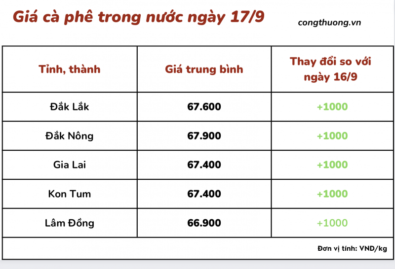 Thị trường cà phê trong nước ngày 17/9/2023