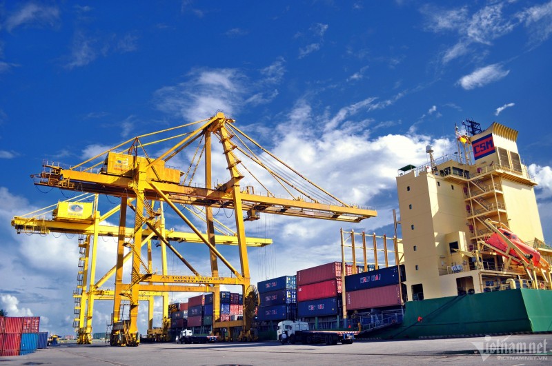 Cận cảnh cảng biển hiện đại bậc nhất Việt Nam nhờ số hóa cơ sở hạ tầng Cận cảnh cảng biển hiện đại bậc nhất Việt Nam nhờ số hóa cơ sở hạ tầng