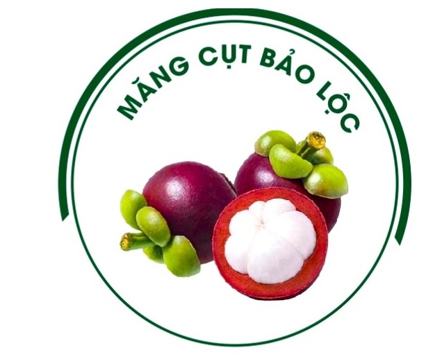 Đặc sản "Măng cụt Bảo Lộc" được cấp nhãn hiệu độc quyền